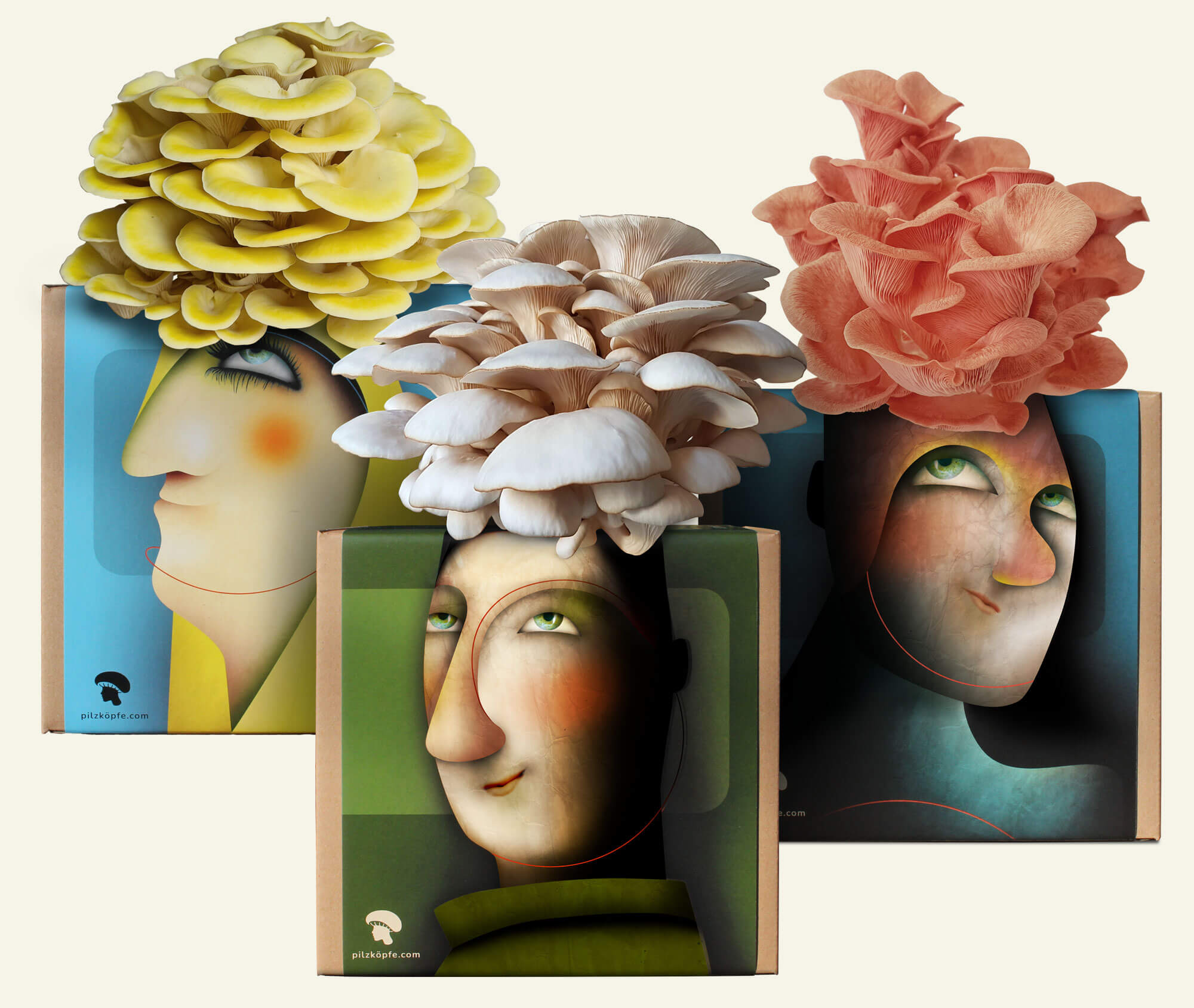 Drei Pilzköpfe-Pilz-Zucht-Boxen mit bunten Pilz-Frisuren Limonenseitling, Rosenseitling und Austernseitling