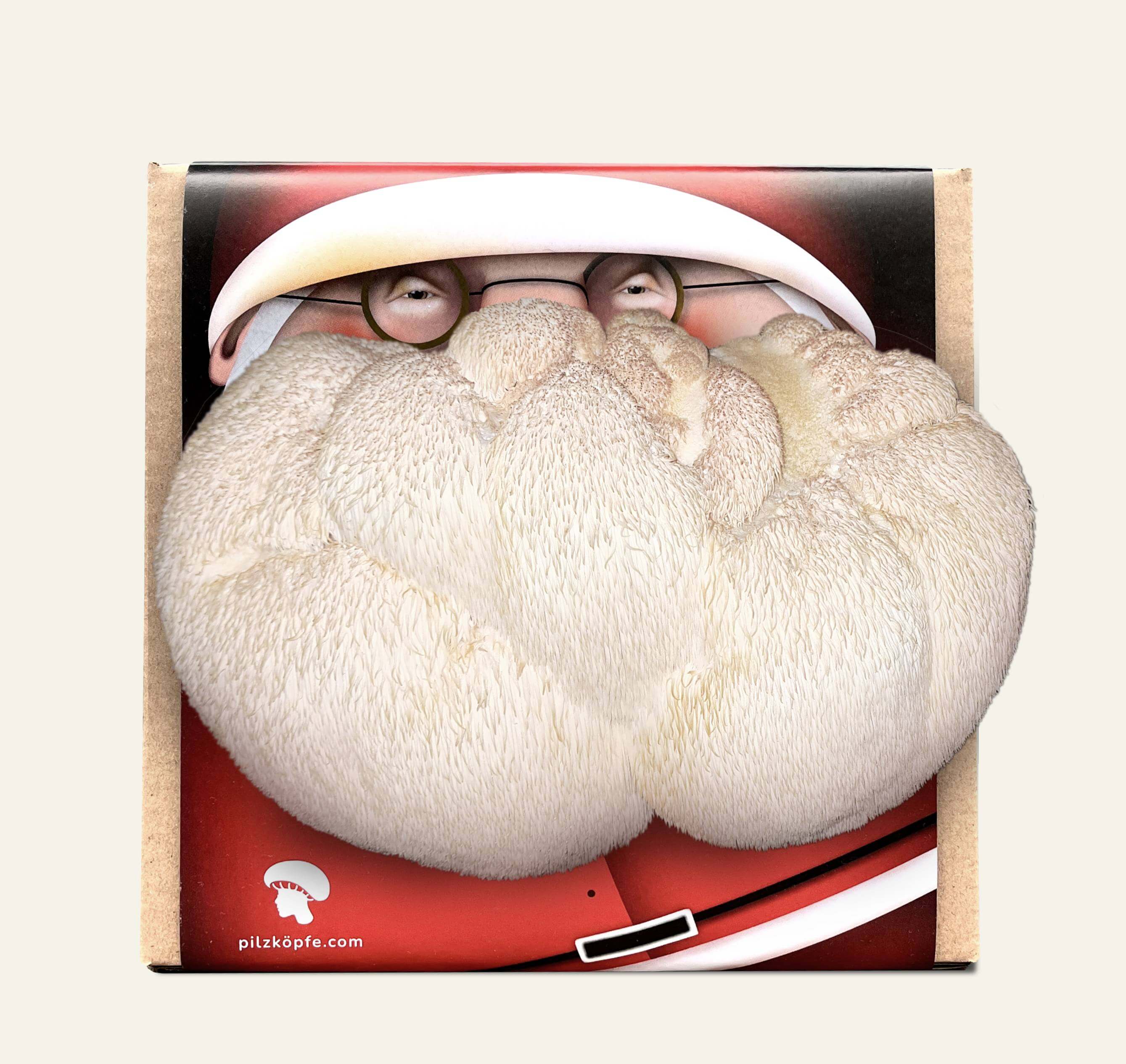 Pilz-Zucht-Set von Pilzköpfe zeigt eine Kartonbox mit Weihnachtsmann-Motiv. Den Bart des Weihnachtsmanns bildet ein ausgewachsener Igelstachelbart-Pilz bzw. Hericium.
