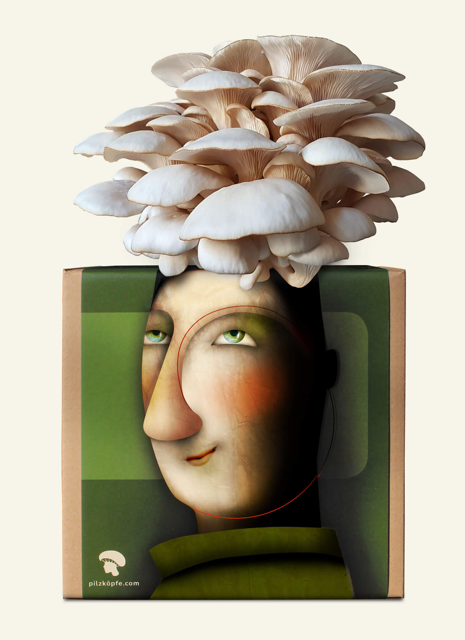 Pilzköpfe-Pilz-Zucht-Box mit Austernpilz-Frisur