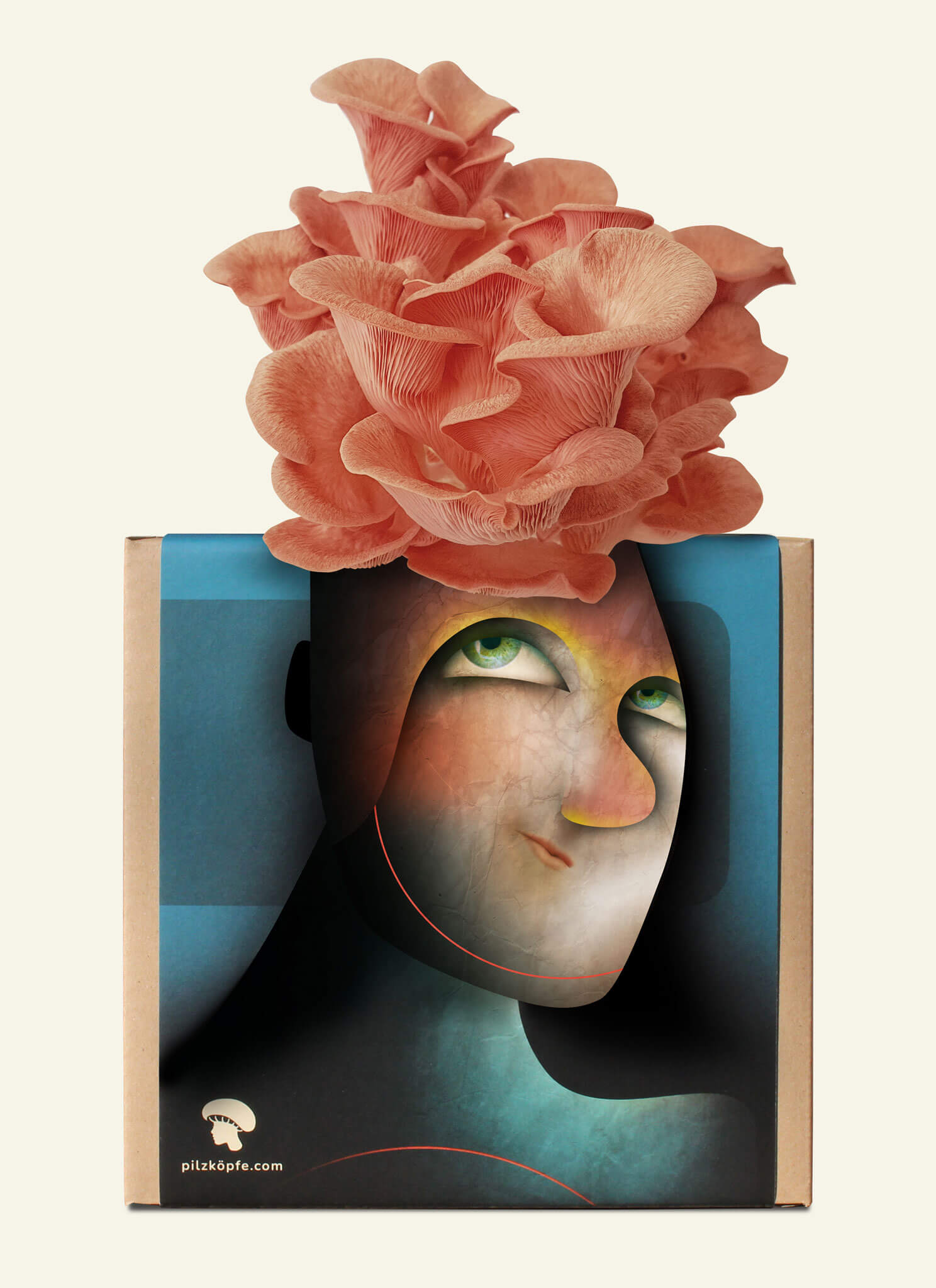 Pilzköpfe-Pilz-Zucht-Box mit Rosenseitling-Frisur