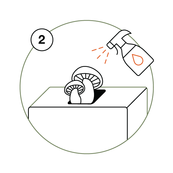 Nr. 2 Pilz-Zucht-Set wässern und besprühen Anleitung als Piktogramm
