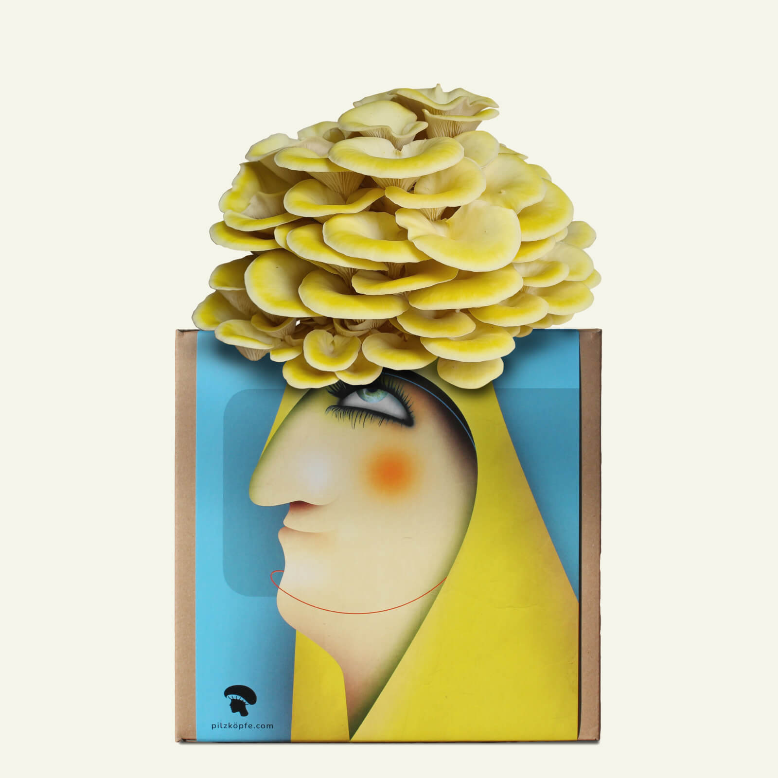 Pilzköpfe Zuchtset Limonenseitlinge Illustration mit Pilzfrisur