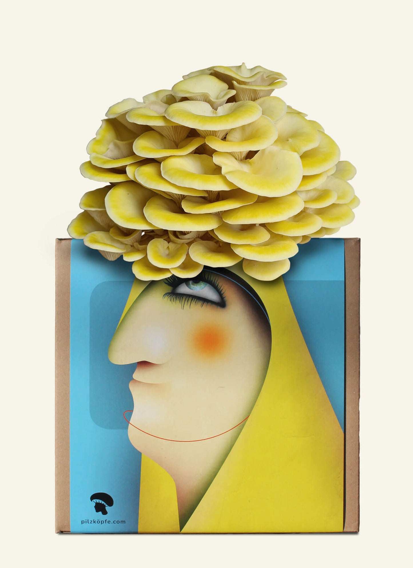Pilzköpfe Zuchtset Limonenseitlinge Illustration mit Pilzfrisur