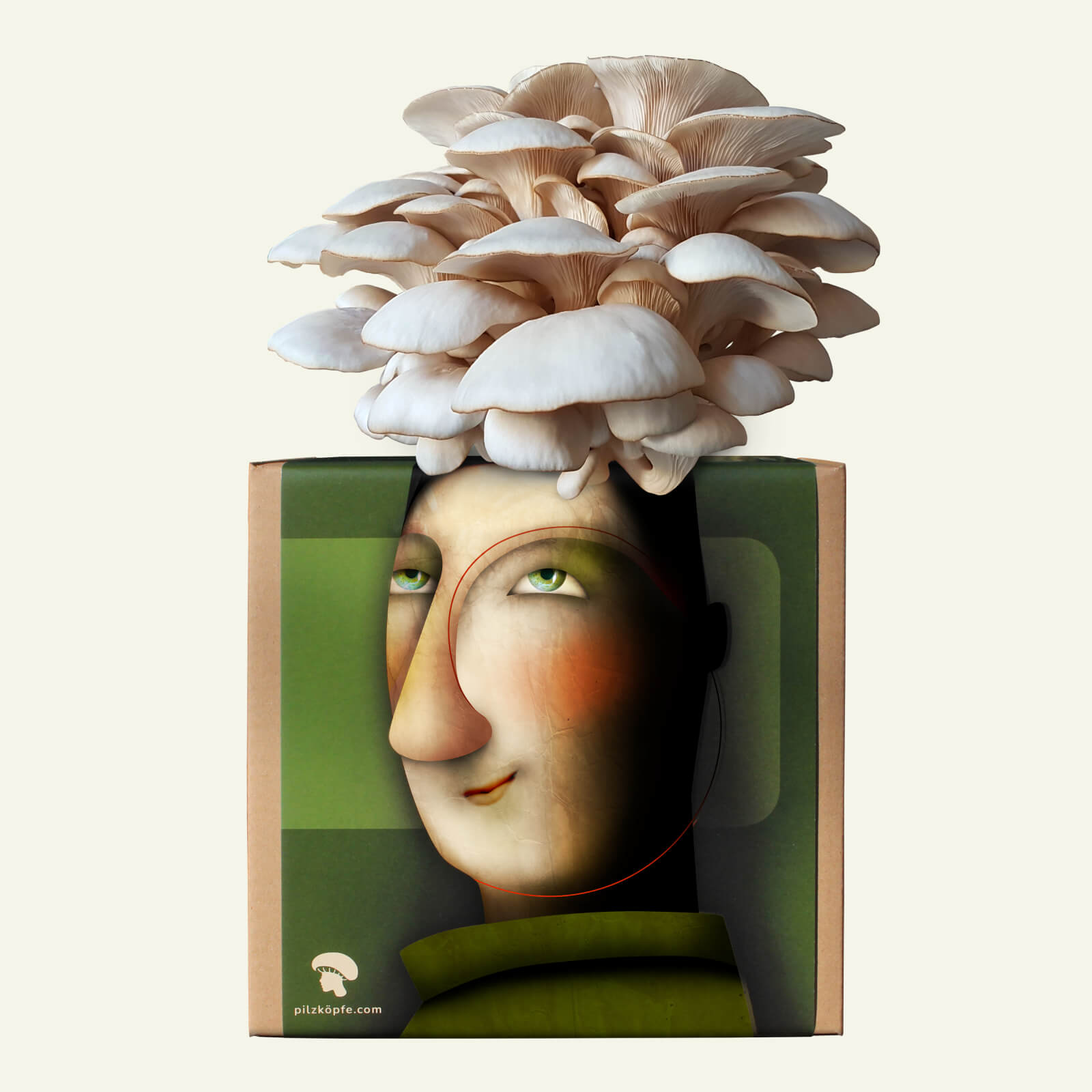 Pilzköpfe Zuchtset Austernpilze Illustration mit Pilzfrisur