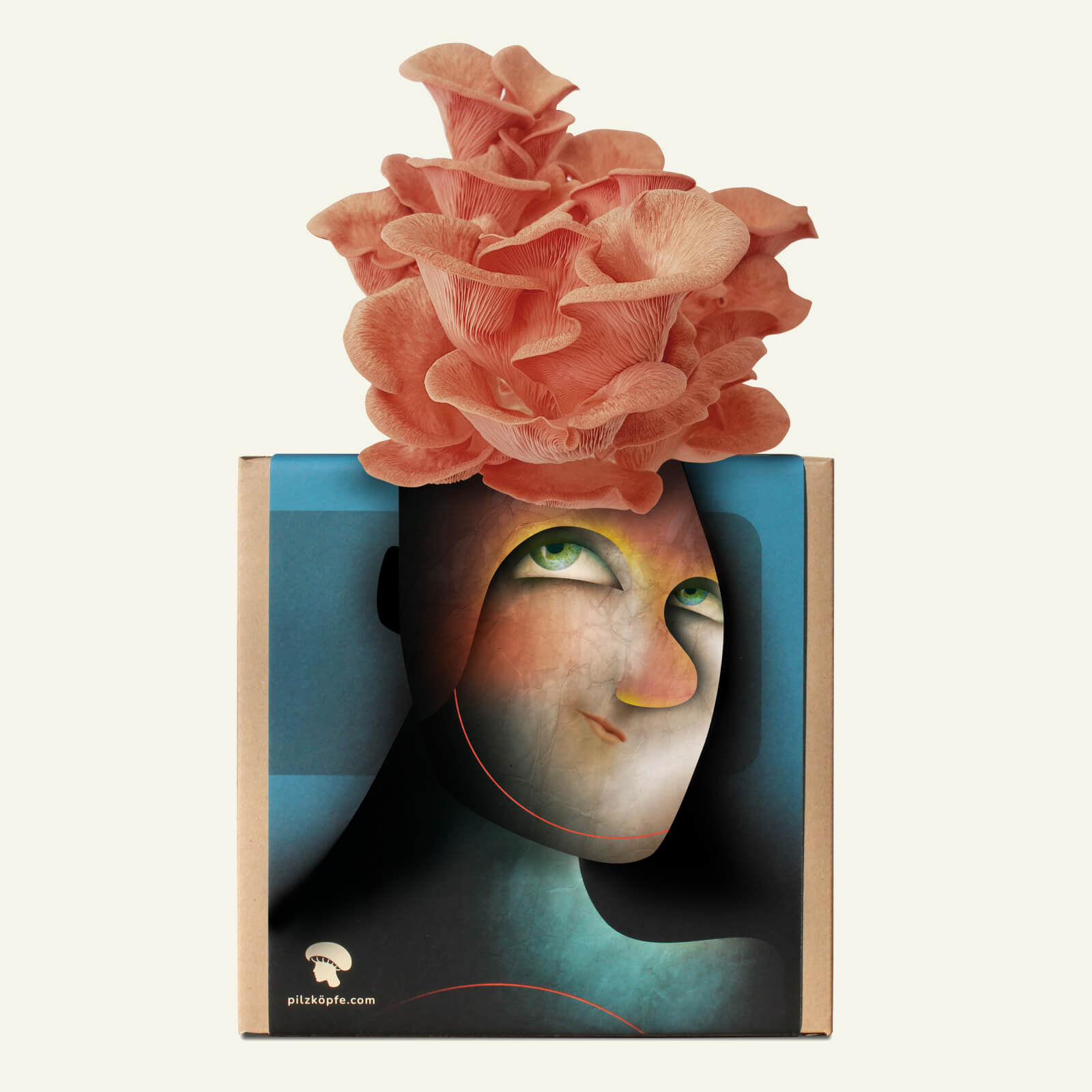 Pilzköpfe-Pilz-Zucht-Box mit Illustration und Rosenseitling-Frisur