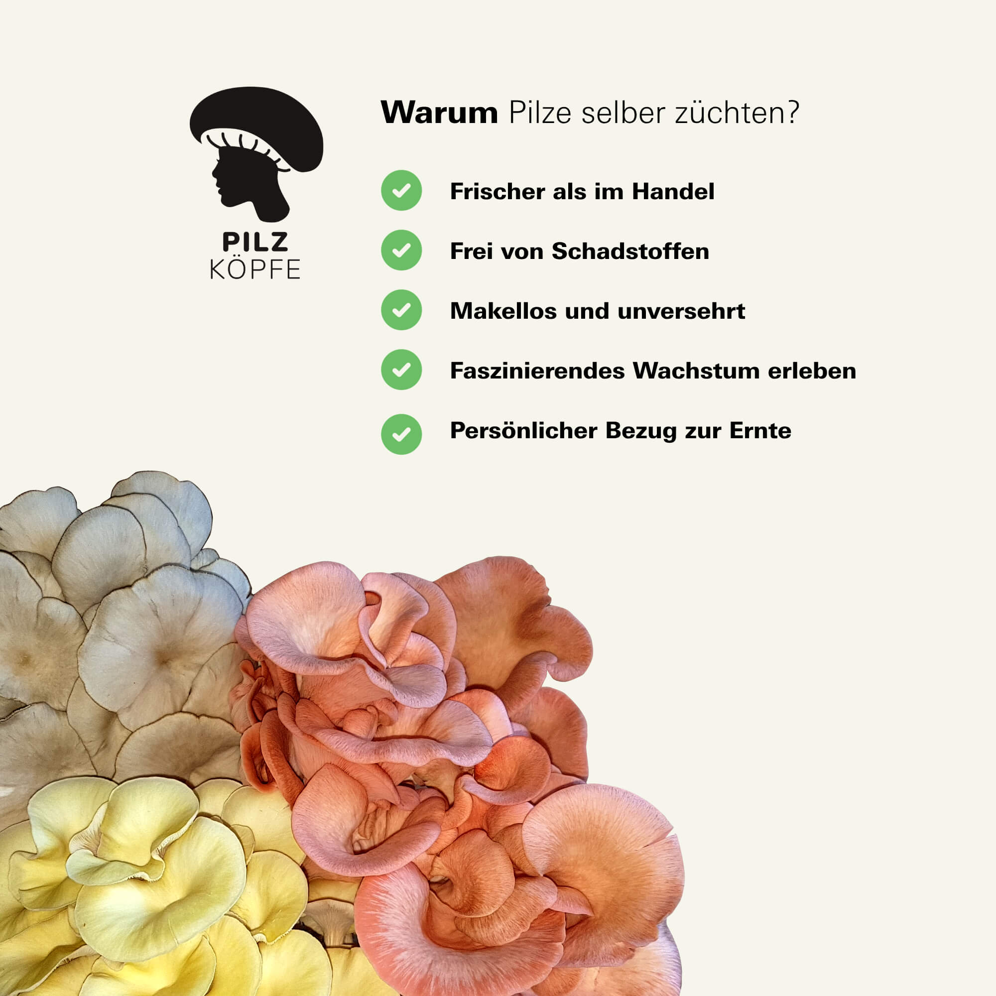 Liste von Gründen warum Pilze selber züchten Vorteile hat, daneben Ernten von Pilzköpf-Zucht-Sets